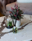 Orange Reed Diffuser