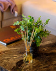Sandalwood Myrrh Reed Diffuser
