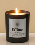 Cinnamon Orange Scented Candle