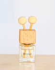 Orange Car Reed Diffuser With Refill