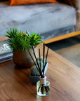 Patchouli Rose Reed Diffuser
